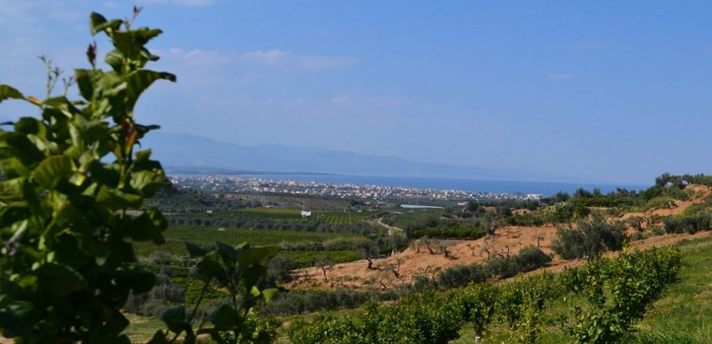 Un sogno diventato realtÃ